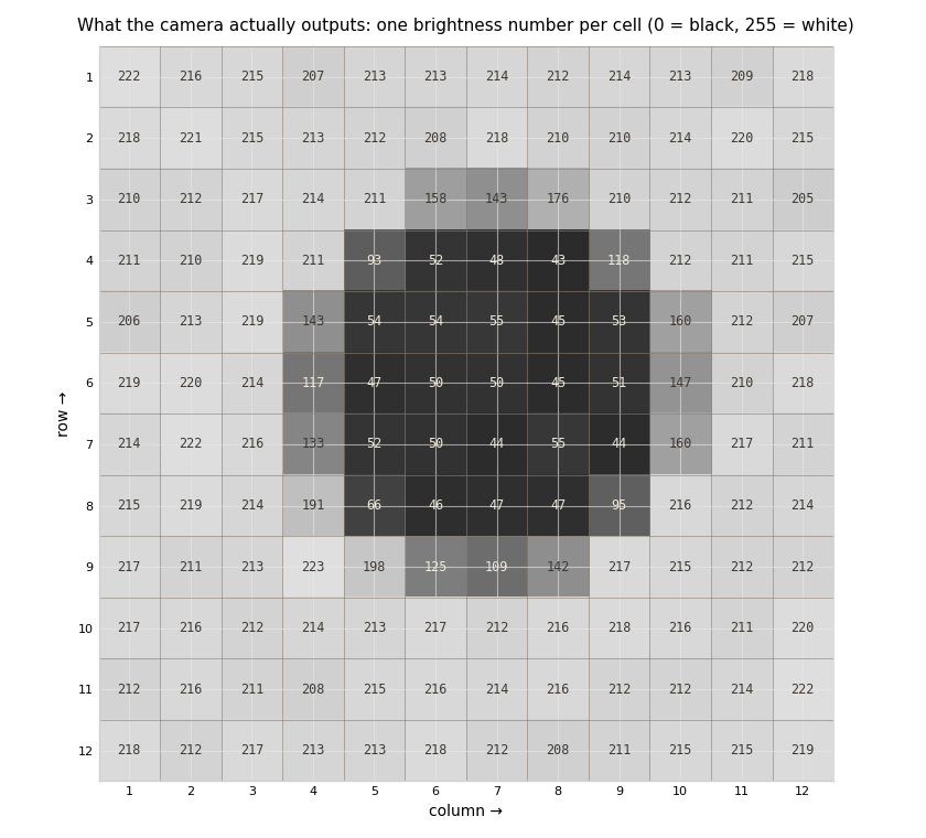 A printed dot zoomed in until it becomes a grid of cells, each cell labeled with its brightness number